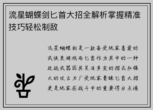 流星蝴蝶剑匕首大招全解析掌握精准技巧轻松制敌